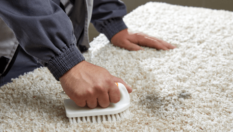 Professional Rug Cleaning Taylors Hill